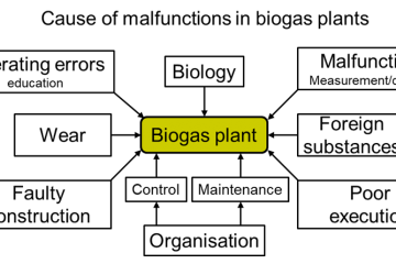 Disturbances In Biogas