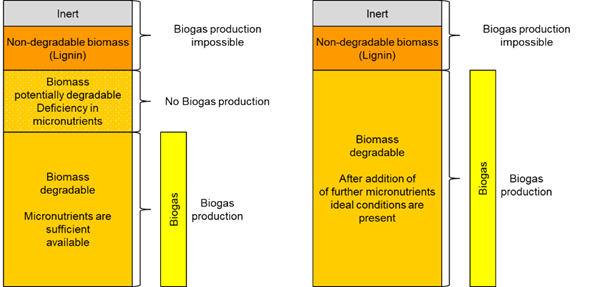 A schematic that shows the effects of trace elements. The right bar diagram shows an increased biogas production after addition of further micronutrients.