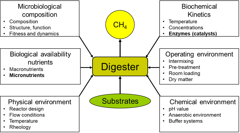 A schematic overview about the complex process of biogas production. The substrate enters the digester. In the digester the microbiological composition, the biochemical, kinetics, the availability of micro- and macronutrients, the operating, the physical and the chemical environment play a large role on the later output of CH4.